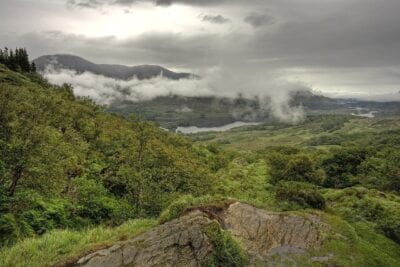 Deforestación Forestales Killarney Irlanda