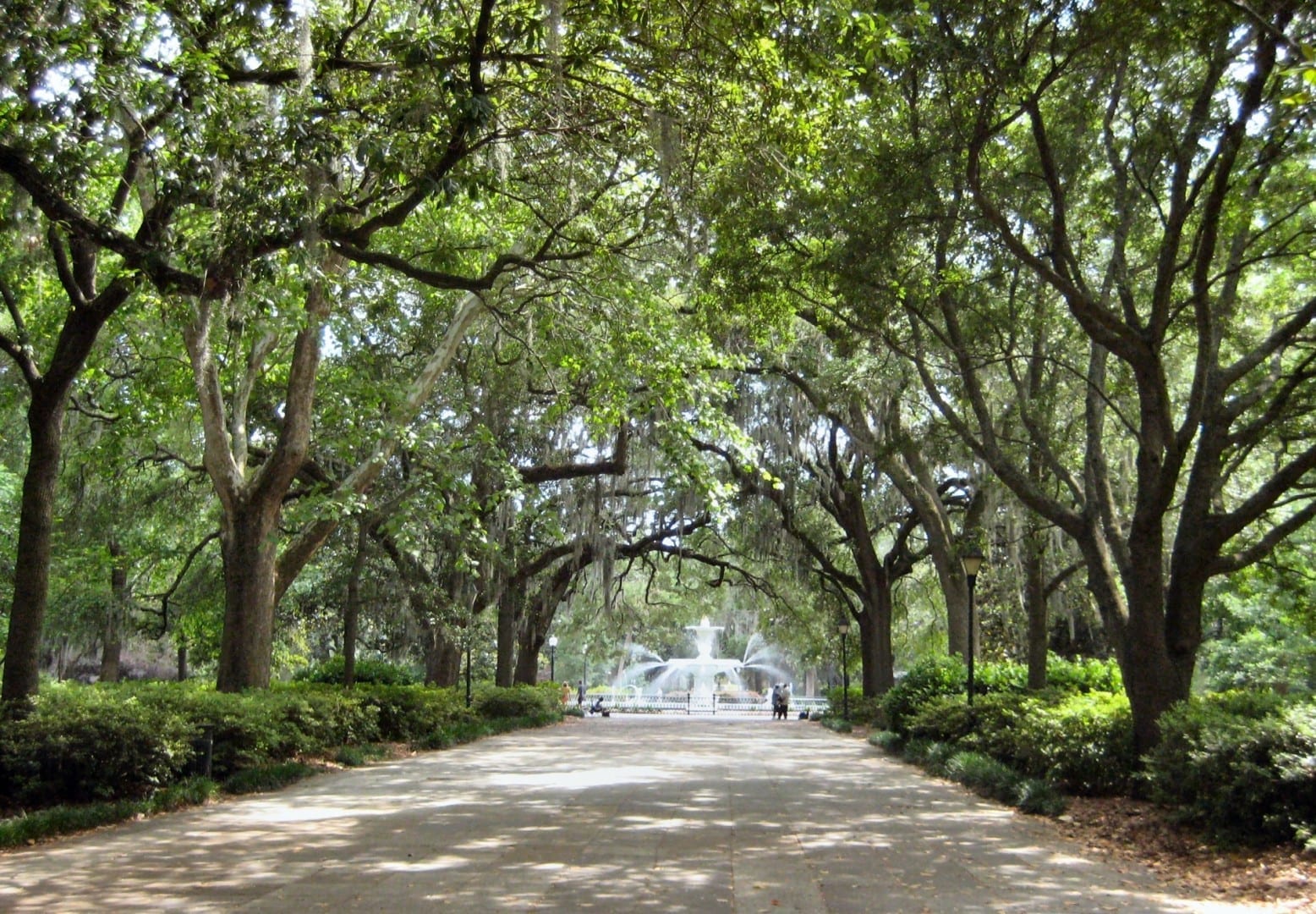 El parque Forsyth con los robles y el musgo español que caracterizan a Savannah Savannah GA Estados Unidos