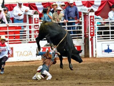 Estampida Calgary Bull Riding Canadá