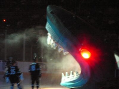 Estás en su hielo cuando el tiburón de San José es bajado del techo de la arena, cariñosamente conocido como