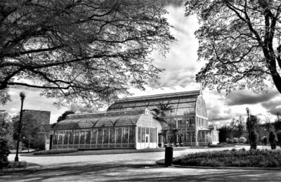 Gotemburgo La Casa De Las Palmeras El Jardín De La Sociedad De Gotemburgo Suecia