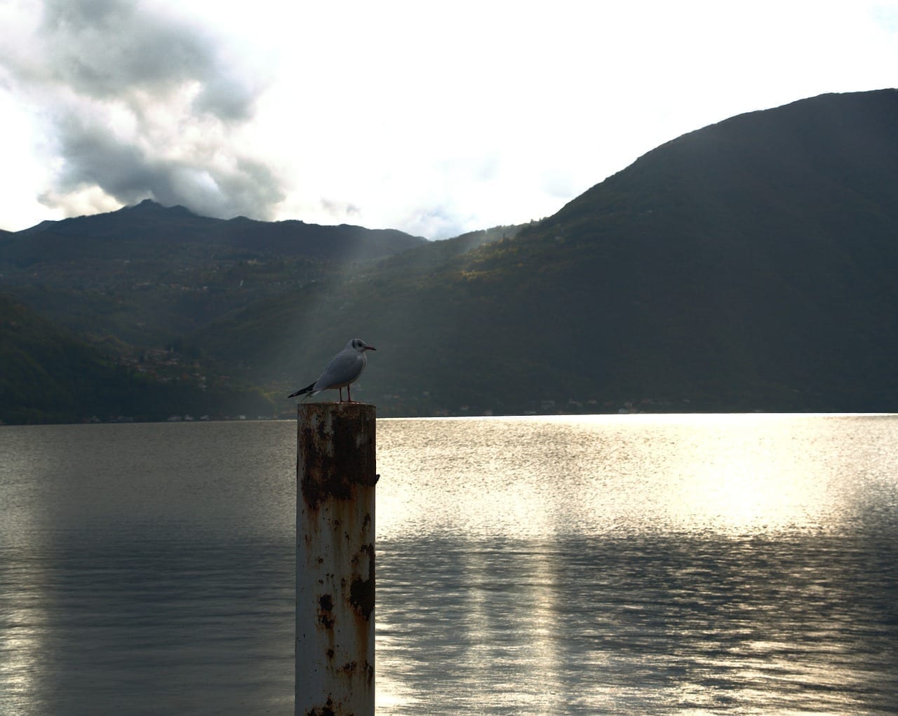 Lago De Lugano Lago Montañas Suiza