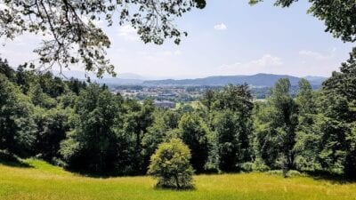 Ljubljana Eslovenia Bosque Eslovenia