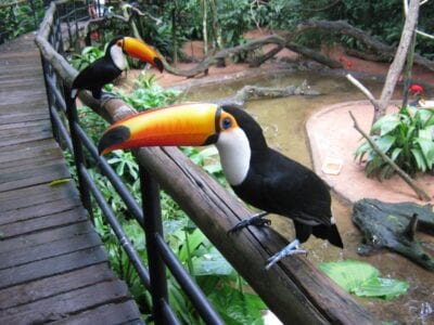 Parque de los Pájaros Foz do Iguazú Brasil