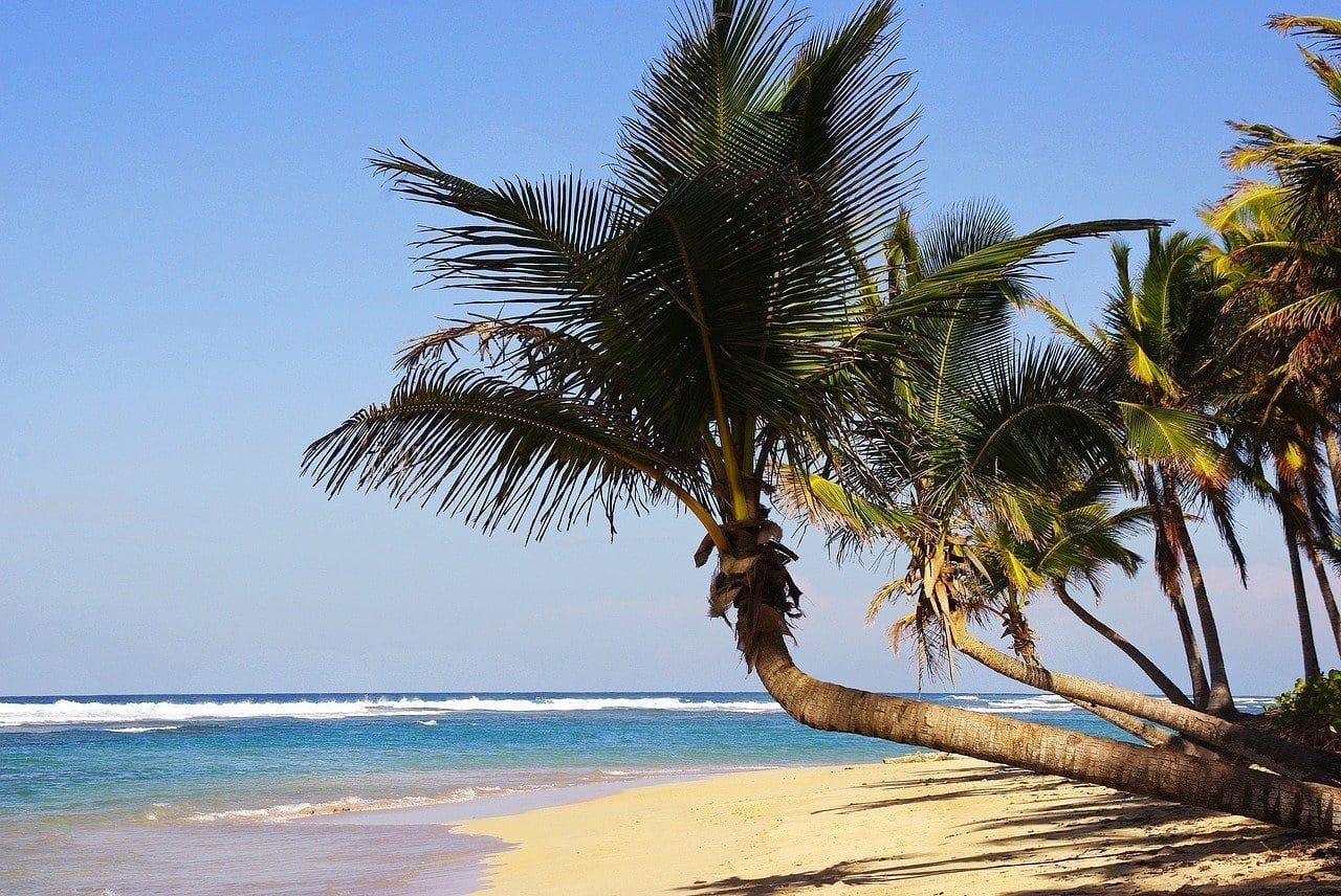 Punta Cana Bavaro Playa República Dominicana