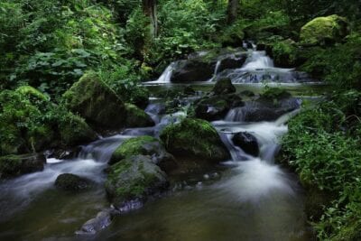 Ravenna Gordge El Agua Italia