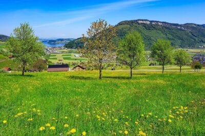 Stanserhorn Lago De Lucerna Lago Suiza