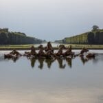 Versalles Parque Fuente Francia