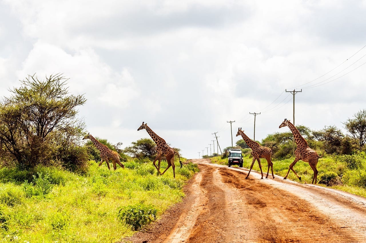 Parque Nacional de Amboseli