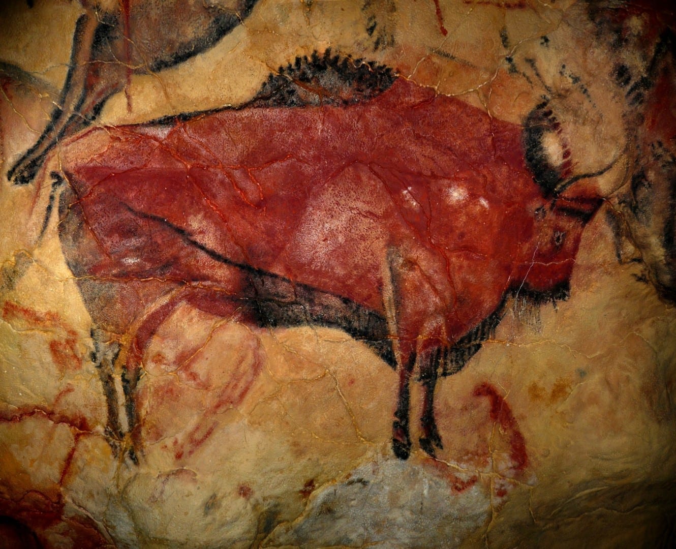 Bisonte en la cueva de Altamira Santillana del Mar España