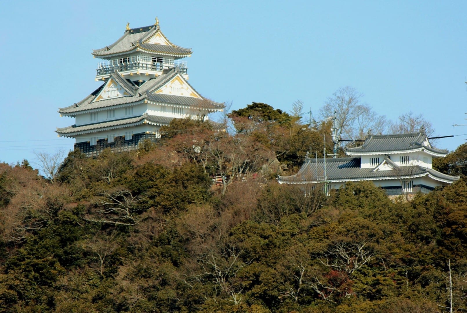 Castillo de Gifu Gifu Japón