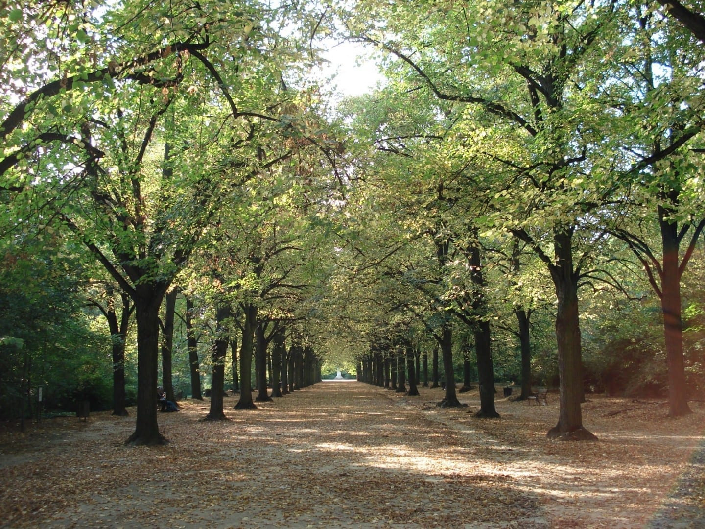 El parque Erzsébet, el parque más bonito de Gödöllő Gödöllő Hungría
