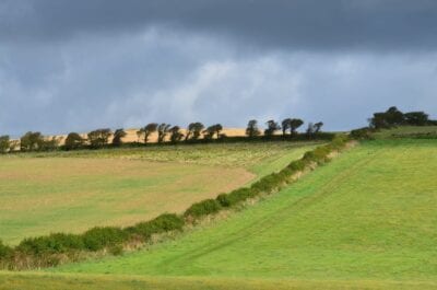 (5.) Isla De Wight Campos Vacaciones Reino Unido