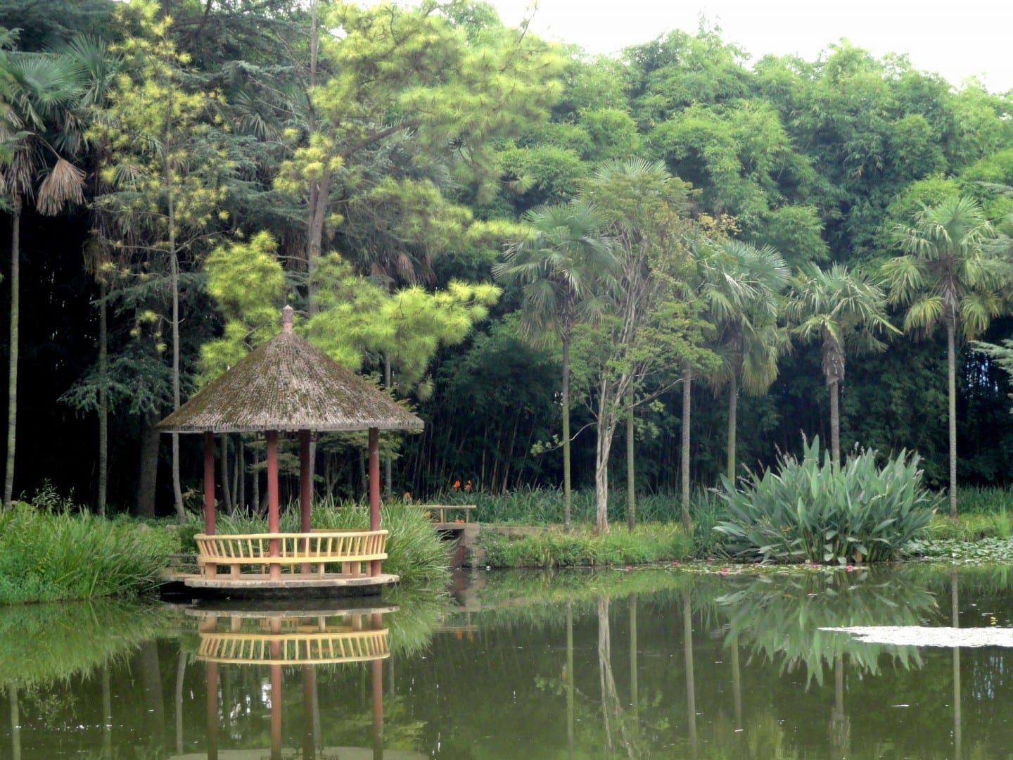 Jardín Botánico de Kunming Kunming China