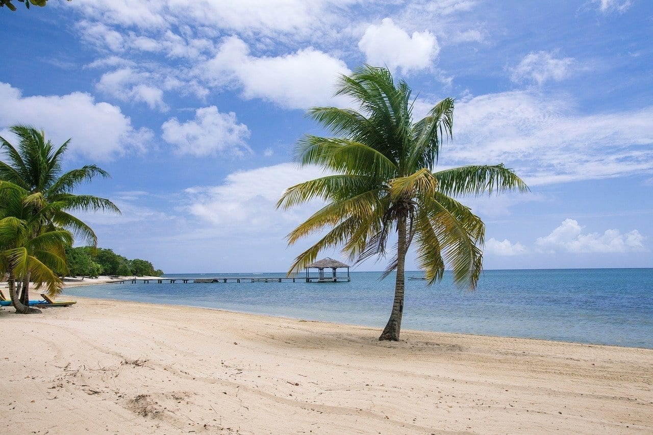 Playa De Palmetto Bay Roatán Islas De La Bahías Honduras