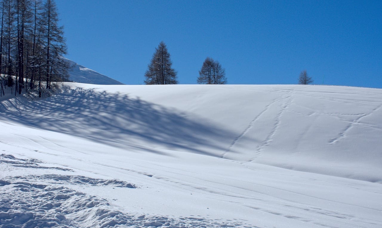 Snow Montaña Livigno Italia
