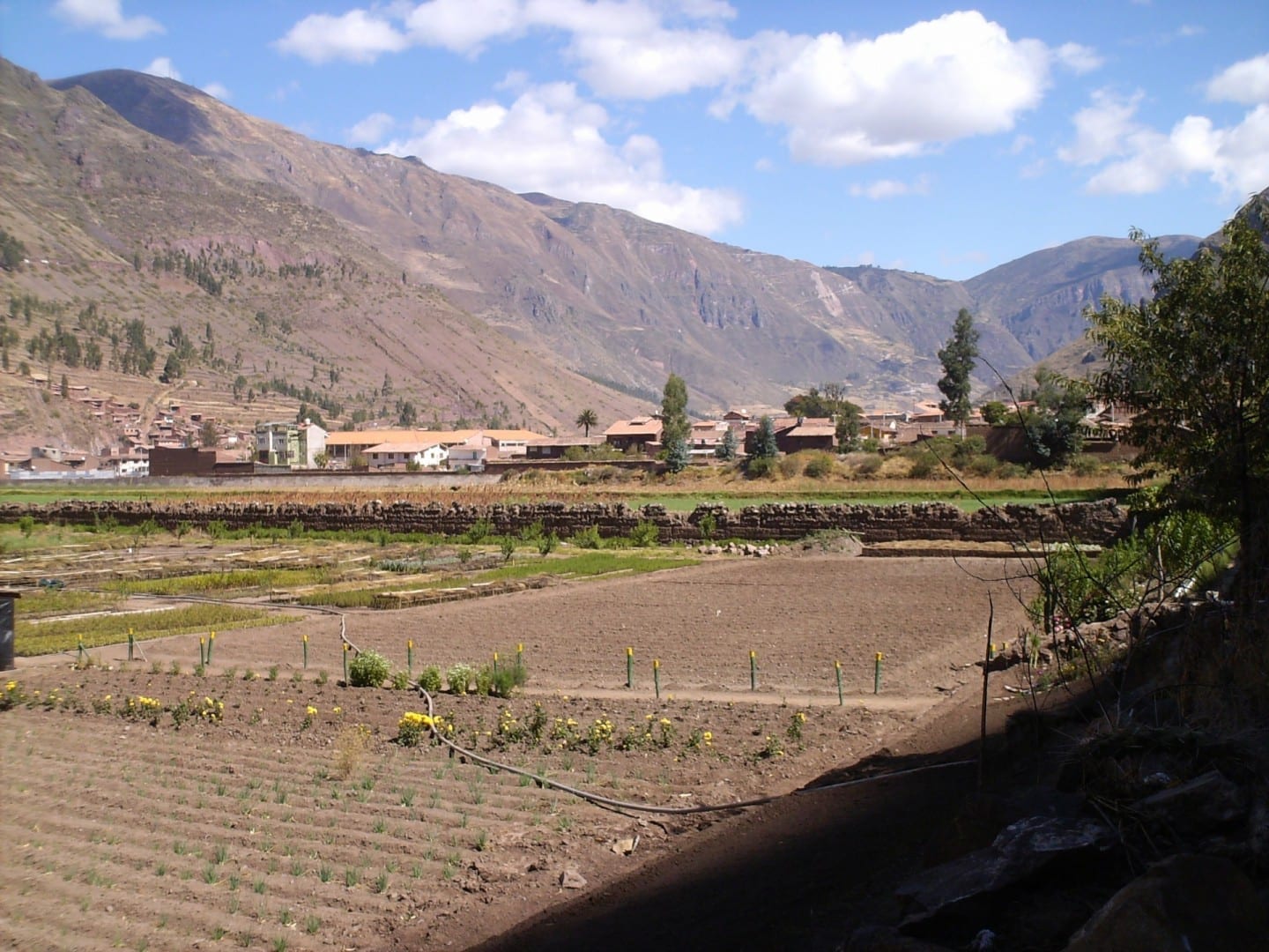 Zona agrícola en Pisac, con una vista de la ciudad al fondo. Pisac Perú