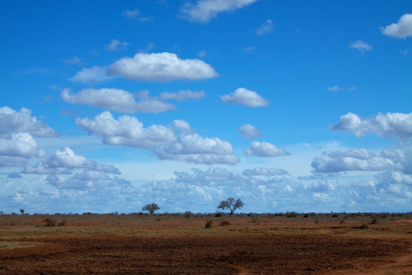alt=Largos horizontes en Tsavo Este Tsavo East National Park Kenia