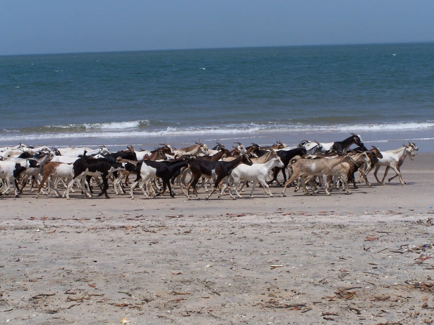 Banjul