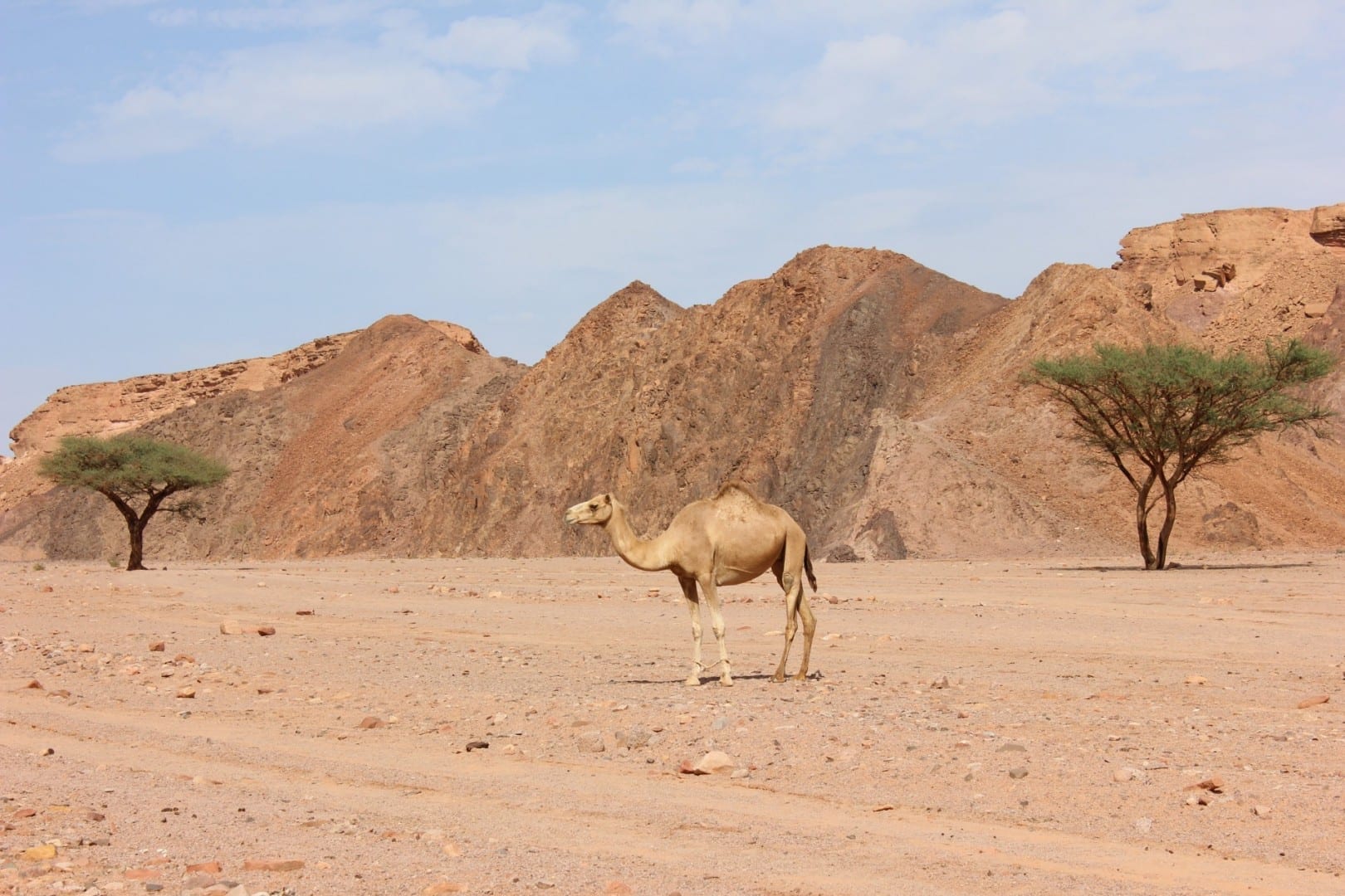 Nuweiba