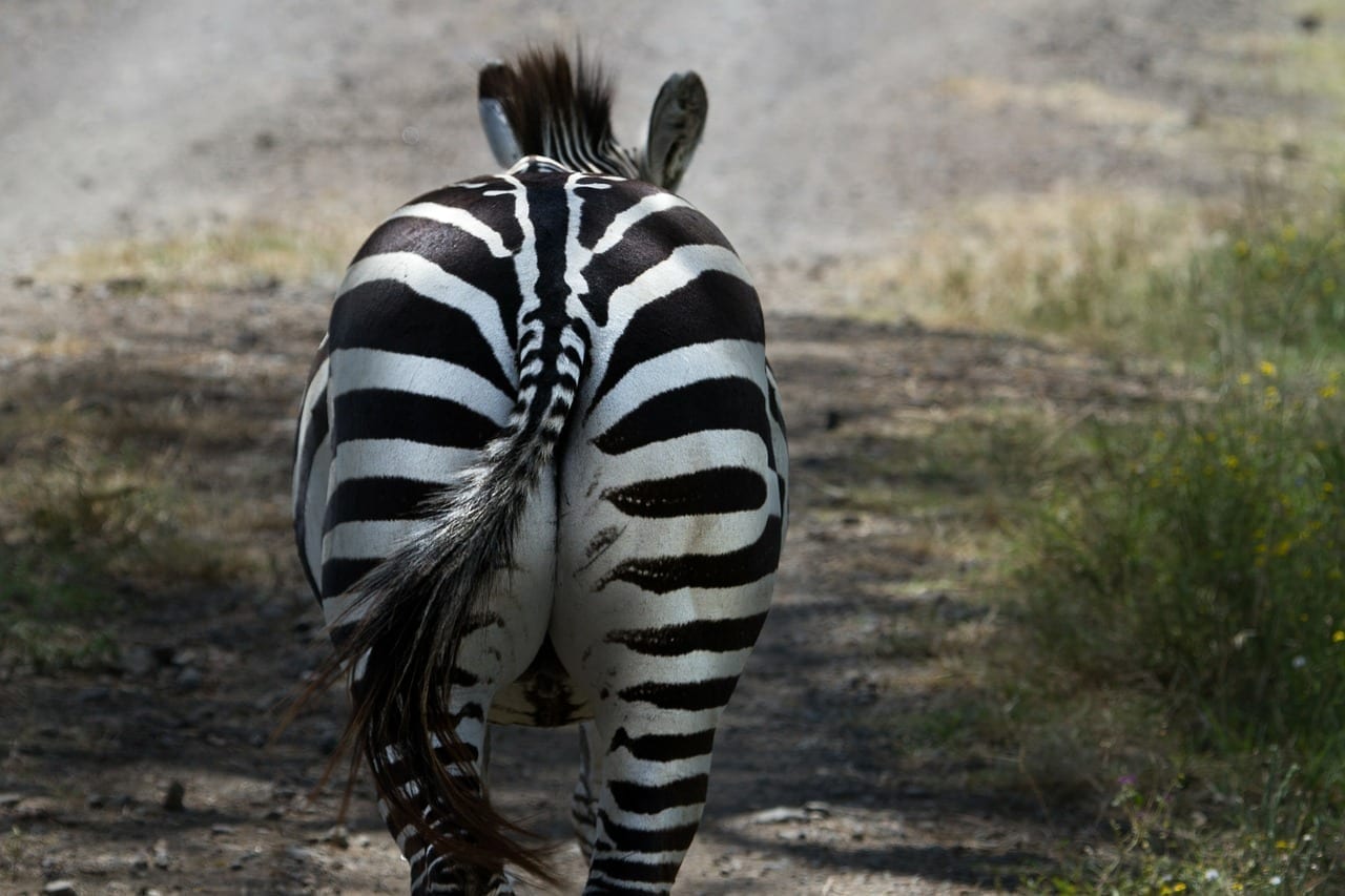 Nakuru