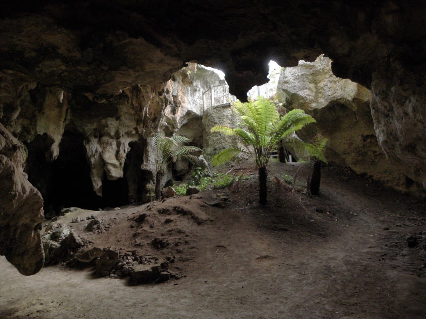 Cuevas de Naracoorte Naracoorte Australia