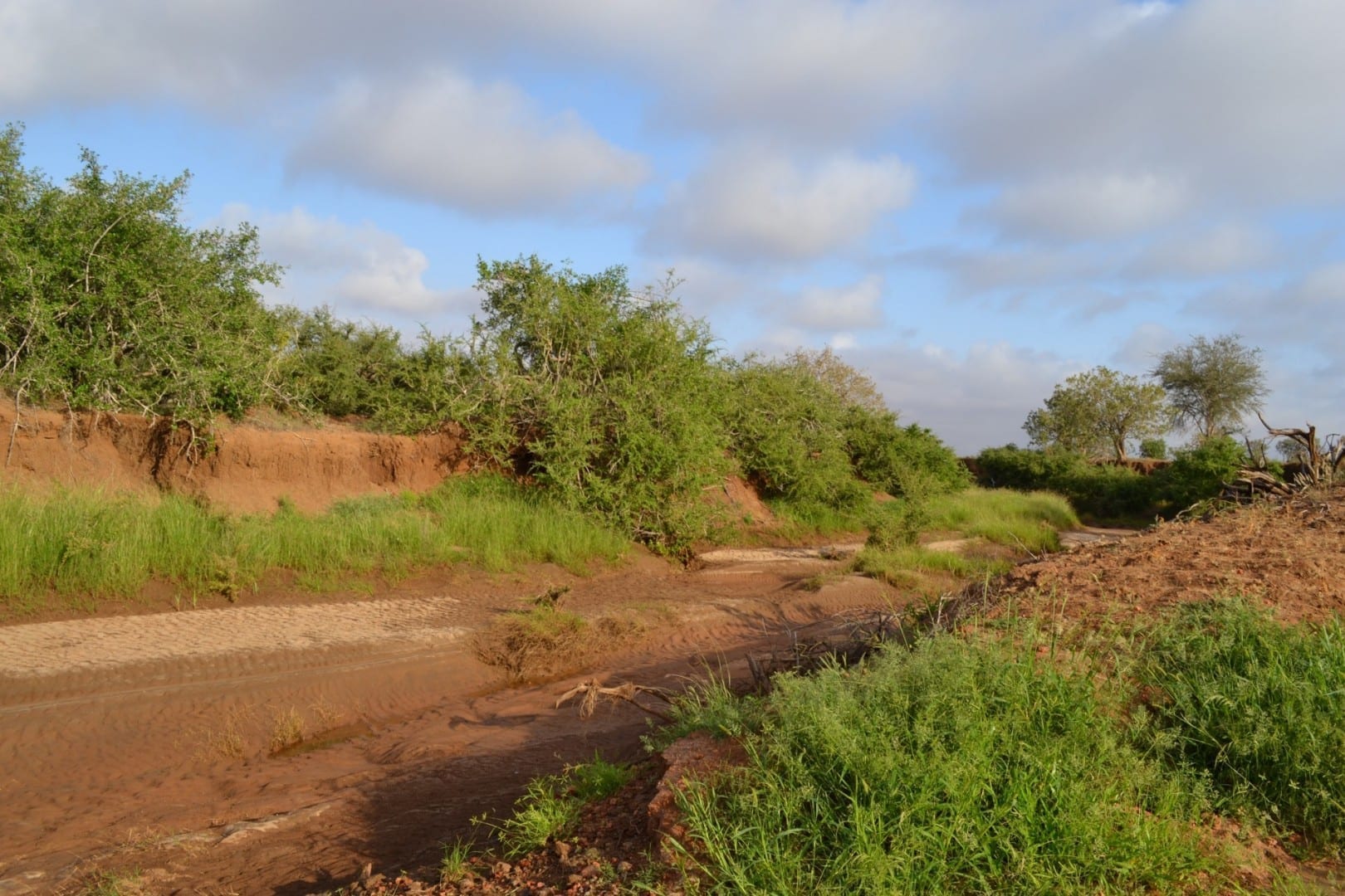 El lecho del arroyo seco del río Voi Tsavo East National Park Kenia