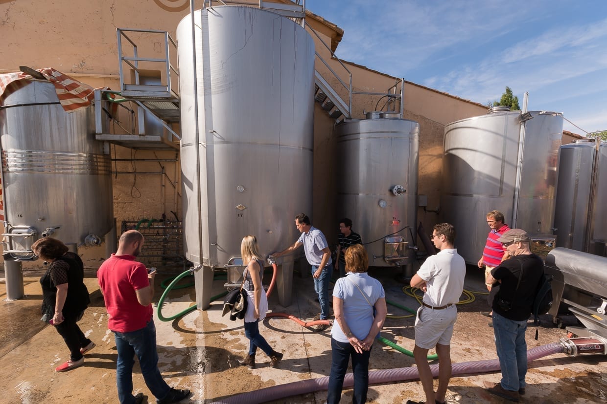 Explicación del proceso de destilación durante una cata de vinos Requena España
