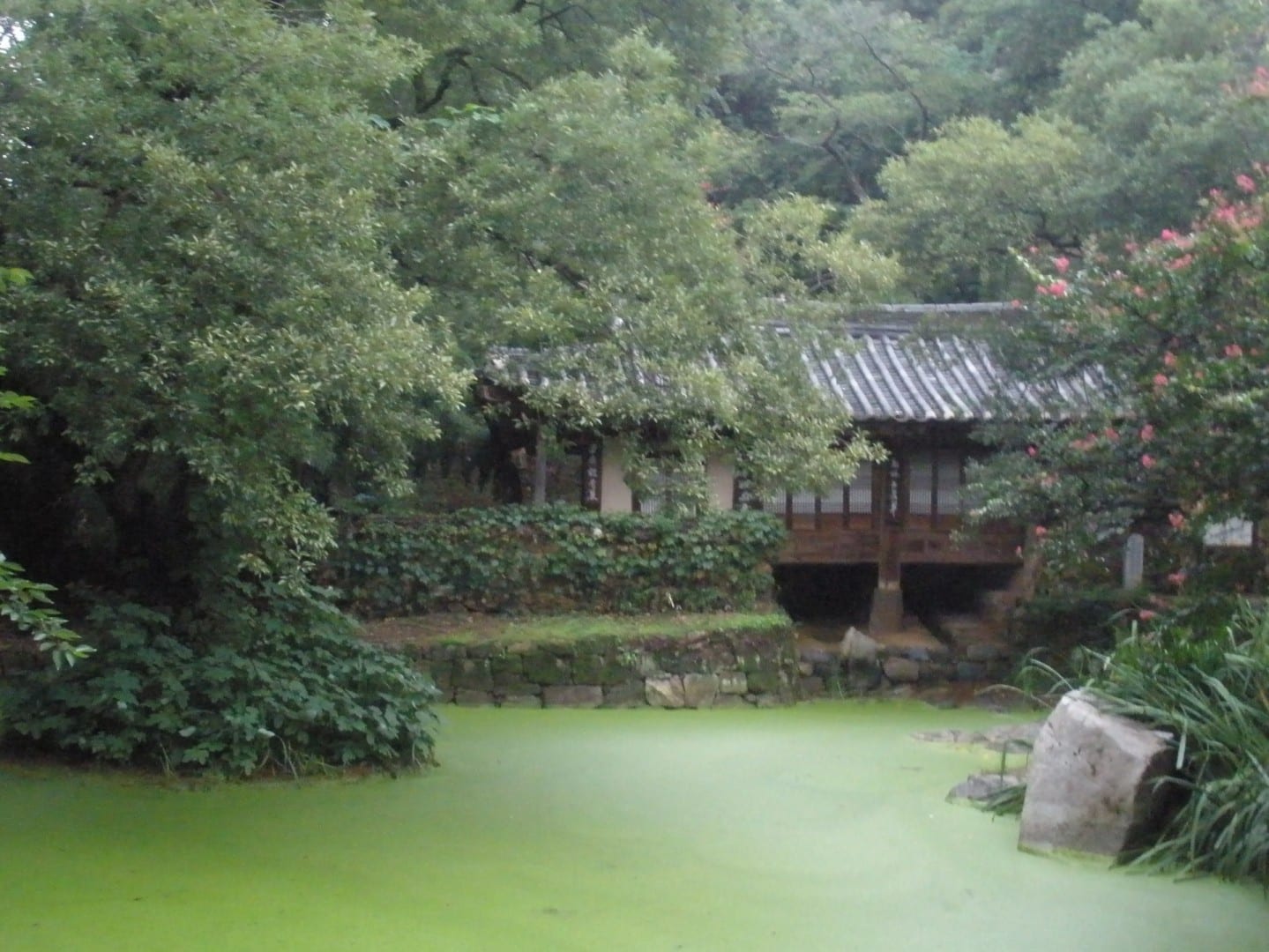 Jardines del Parque Histórico de Uam. Daejeon Corea del Sur