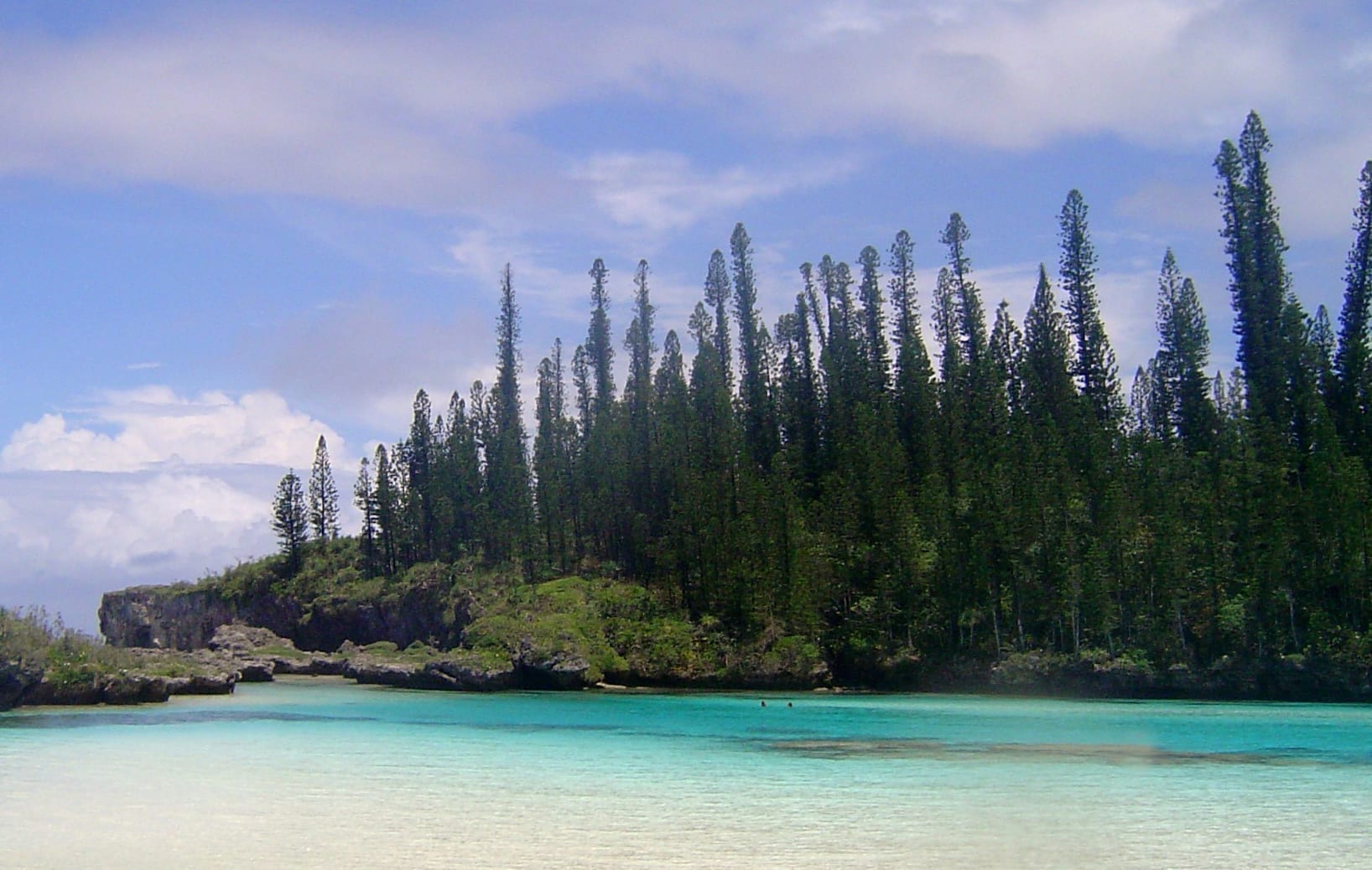 Isla de los Pinos