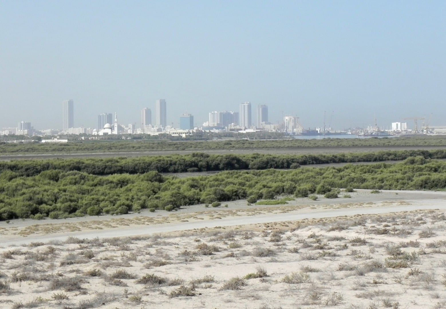 Los manglares, con la ciudad de Umm al Quwain (como se veía en 2012) en la distancia Um al Quwain Emiratos Árabes Unidos