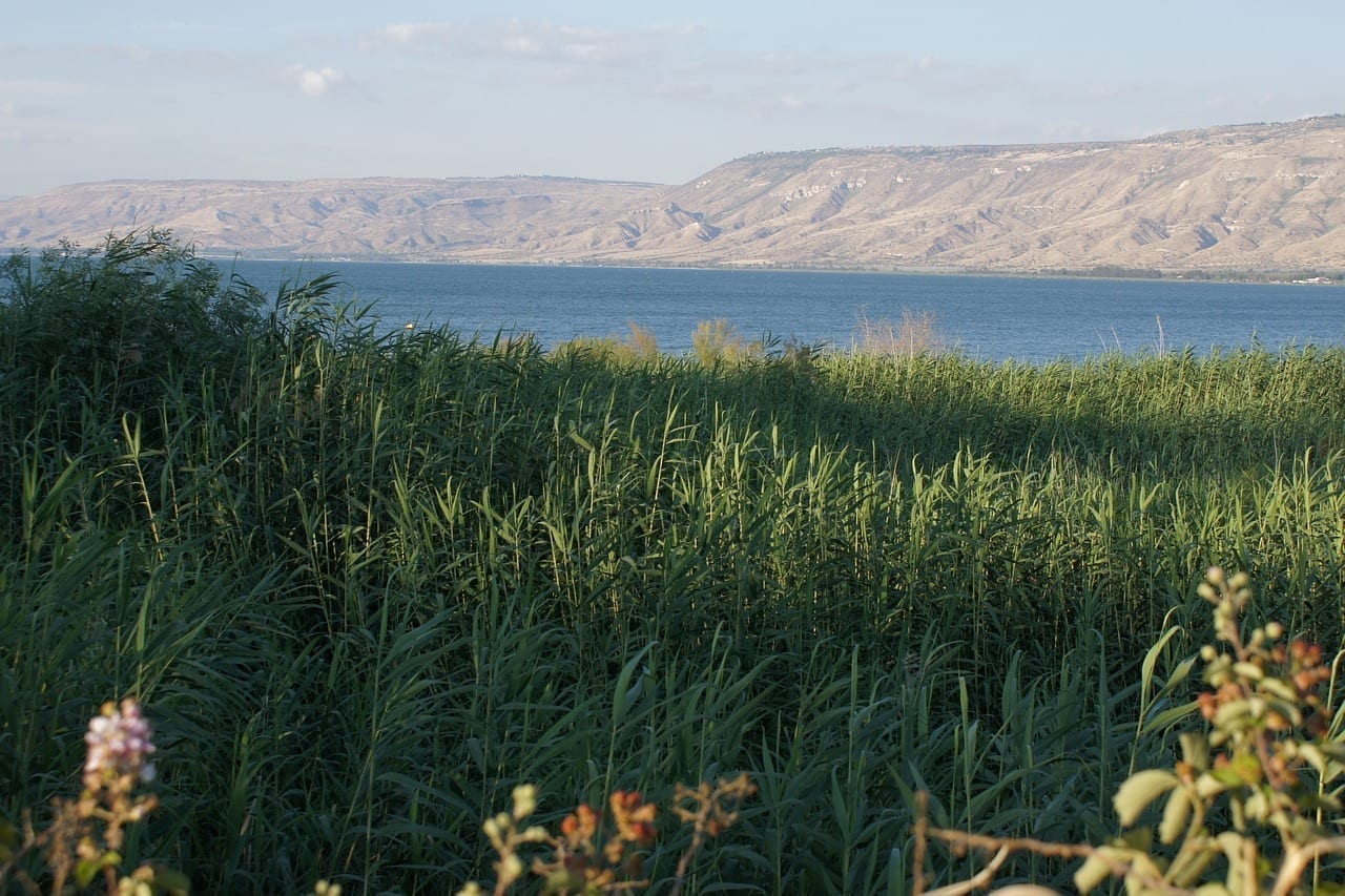 Mar De Galilea Lago Caña Israel