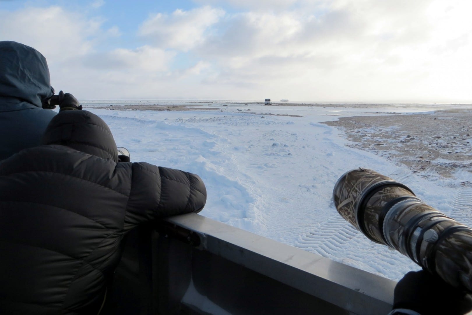 Preparen sus cámaras, fotografía de osos polares desde la parte trasera de un Tundra Buggy Churchill Canadá