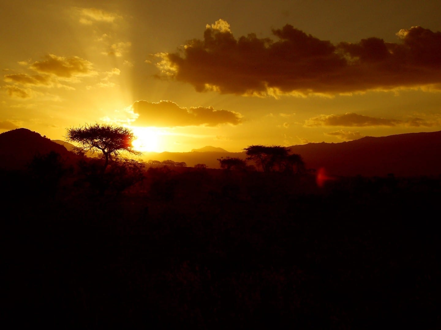 Tsavo East National Park