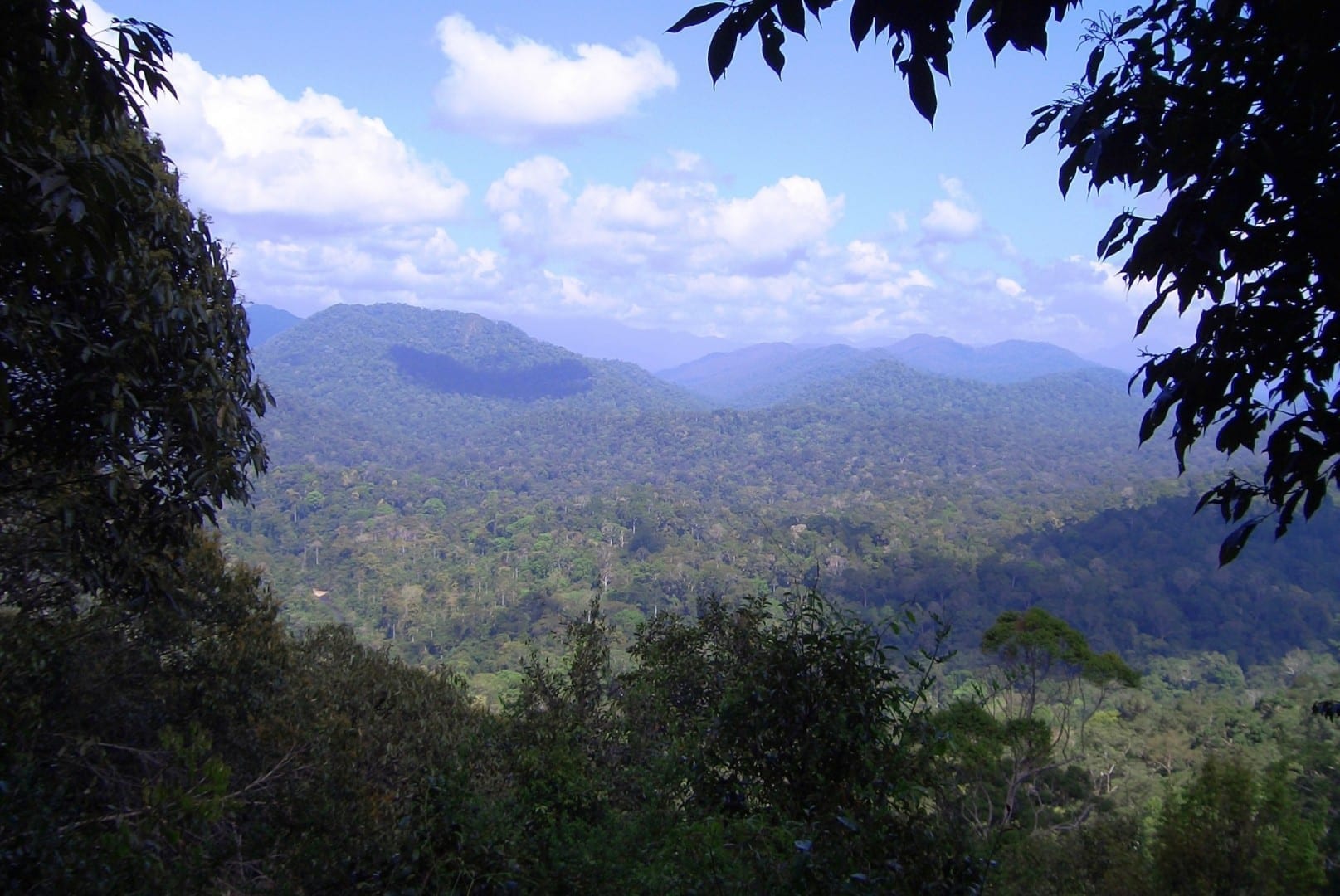 Vuelo y Hotel en Taman Negara, Malasia – Viajes.com